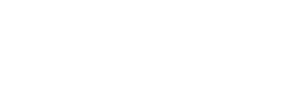 Z Nation has a wide variety of .300 blackout rifles, Glocks and PSA Daggers